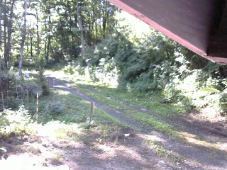 長野県菅平高原 ゆたか山荘 東側(坂下) 2025/07/21 07:30