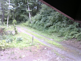 長野県菅平高原 ゆたか山荘 東側(坂下) 2025/07/21 12:00