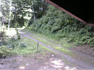 長野県菅平高原 ゆたか山荘 東側(坂下) 2025/07/21 14:15