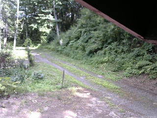 長野県菅平高原 ゆたか山荘 東側(坂下) 2025/07/21 14:30