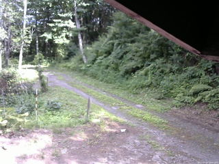長野県菅平高原 ゆたか山荘 東側(坂下) 2025/07/21 14:45