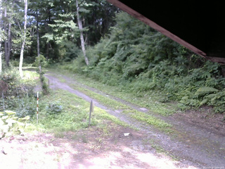 長野県菅平高原 ゆたか山荘 東側(坂下) 2025/07/21 15:00