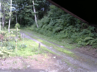 長野県菅平高原 ゆたか山荘 東側(坂下) 2025/07/21 16:15