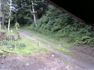 長野県菅平高原 ゆたか山荘 東側(坂下) 2025/07/21 16:30