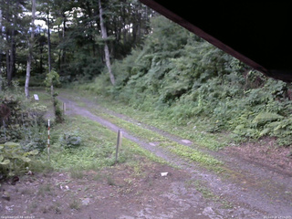 長野県菅平高原 ゆたか山荘 東側(坂下) 2025/07/21 17:15