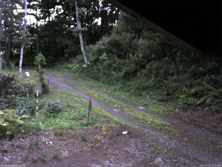 長野県菅平高原 ゆたか山荘 東側(坂下) 2025/07/21 17:30