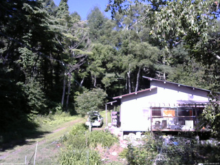 長野県菅平高原 ゆたか山荘 西側(坂上) 2025/07/21 08:00