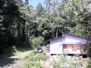 長野県菅平高原 ゆたか山荘 西側(坂上) 2025/07/21 09:30