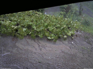 長野県菅平高原 ゆたか山荘 駐車場 2025/07/21 18:00