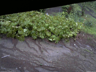 長野県菅平高原 ゆたか山荘 駐車場 2025/07/21 18:15