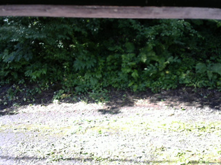 長野県菅平高原 ゆたか山荘 南側 2025/07/22 08:00