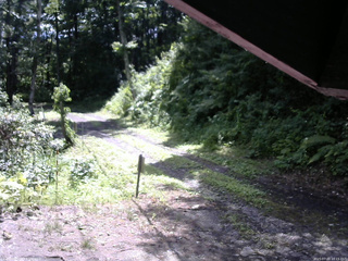 長野県菅平高原 ゆたか山荘 東側(坂下) 2025/07/22 10:15