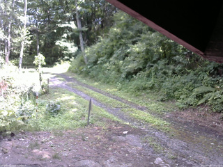 長野県菅平高原 ゆたか山荘 東側(坂下) 2025/07/22 13:15