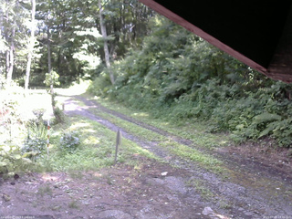長野県菅平高原 ゆたか山荘 東側(坂下) 2025/07/22 13:30
