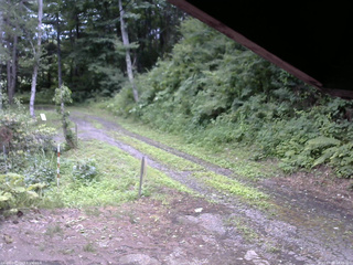 長野県菅平高原 ゆたか山荘 東側(坂下) 2025/07/22 14:00