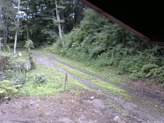 長野県菅平高原 ゆたか山荘 東側(坂下) 2025/07/22 14:30