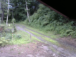 長野県菅平高原 ゆたか山荘 東側(坂下) 2025/07/22 15:45