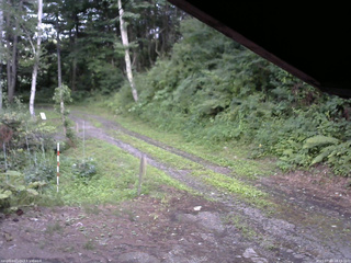 長野県菅平高原 ゆたか山荘 東側(坂下) 2025/07/22 18:15