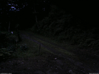 長野県菅平高原 ゆたか山荘 東側(坂下) 2025/07/22 19:15