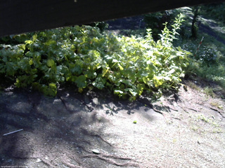 長野県菅平高原 ゆたか山荘 駐車場 2025/07/22 08:00