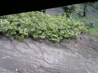 長野県菅平高原 ゆたか山荘 駐車場 2025/07/22 10:45