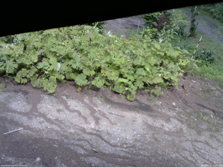 長野県菅平高原 ゆたか山荘 駐車場 2025/07/22 15:00