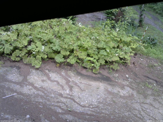 長野県菅平高原 ゆたか山荘 駐車場 2025/07/22 15:15