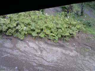 長野県菅平高原 ゆたか山荘 駐車場 2025/07/22 15:30