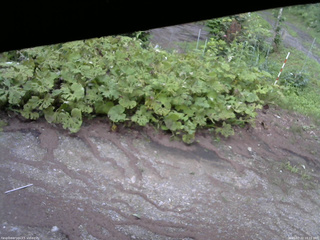 長野県菅平高原 ゆたか山荘 駐車場 2025/07/22 18:15