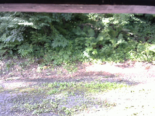 長野県菅平高原 ゆたか山荘 南側 2025/07/23 07:30