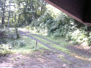 長野県菅平高原 ゆたか山荘 東側(坂下) 2025/07/23 07:30