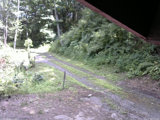 長野県菅平高原 ゆたか山荘 東側(坂下) 2025/07/23 13:15