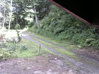 長野県菅平高原 ゆたか山荘 東側(坂下) 2025/07/23 14:00