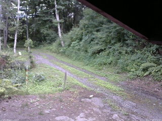 長野県菅平高原 ゆたか山荘 東側(坂下) 2025/07/23 16:30