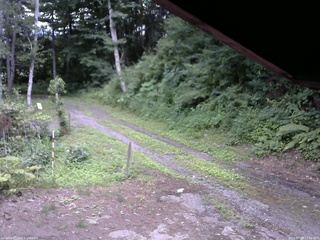 長野県菅平高原 ゆたか山荘 東側(坂下) 2025/07/23 17:00
