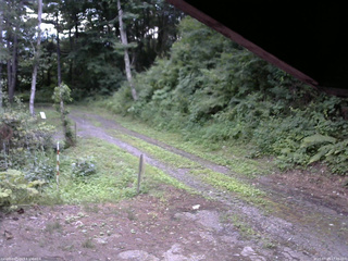 長野県菅平高原 ゆたか山荘 東側(坂下) 2025/07/23 17:30