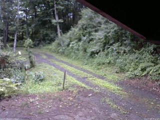 長野県菅平高原 ゆたか山荘 東側(坂下) 2025/07/23 18:15