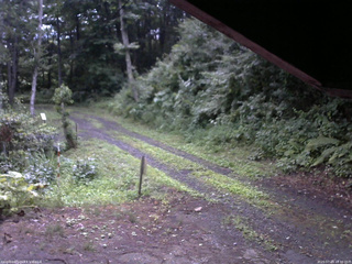 長野県菅平高原 ゆたか山荘 東側(坂下) 2025/07/23 18:30