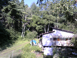 長野県菅平高原 ゆたか山荘 西側(坂上) 2025/07/23 07:00