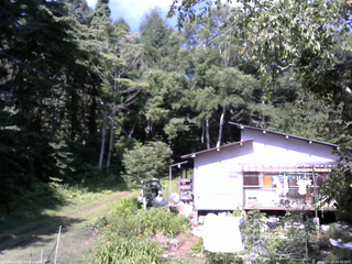 長野県菅平高原 ゆたか山荘 西側(坂上) 2025/07/23 08:45
