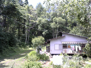長野県菅平高原 ゆたか山荘 西側(坂上) 2025/07/23 11:30