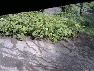 長野県菅平高原 ゆたか山荘 駐車場 2025/07/23 12:15