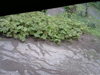 長野県菅平高原 ゆたか山荘 駐車場 2025/07/23 15:00