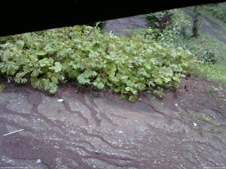 長野県菅平高原 ゆたか山荘 駐車場 2025/07/23 18:15