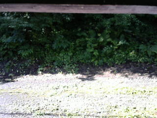 長野県菅平高原 ゆたか山荘 南側 2025/07/24 08:00