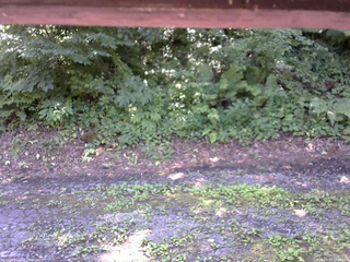 長野県菅平高原 ゆたか山荘 南側 2025/07/24 12:00