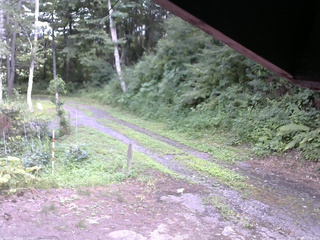 長野県菅平高原 ゆたか山荘 東側(坂下) 2025/07/24 15:00