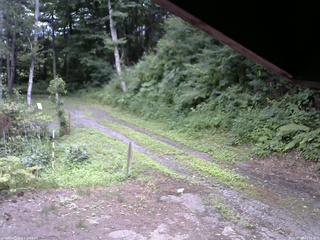 長野県菅平高原 ゆたか山荘 東側(坂下) 2025/07/24 15:15