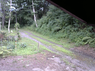 長野県菅平高原 ゆたか山荘 東側(坂下) 2025/07/24 16:30
