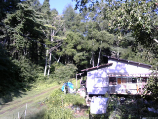 長野県菅平高原 ゆたか山荘 西側(坂上) 2025/07/24 07:00